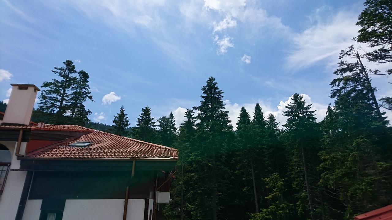 Tes Flora Apartments Borovets Exterior photo